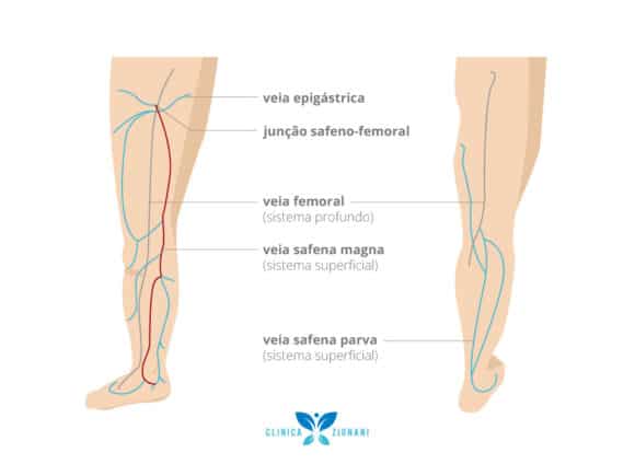 Localização das veias safenas